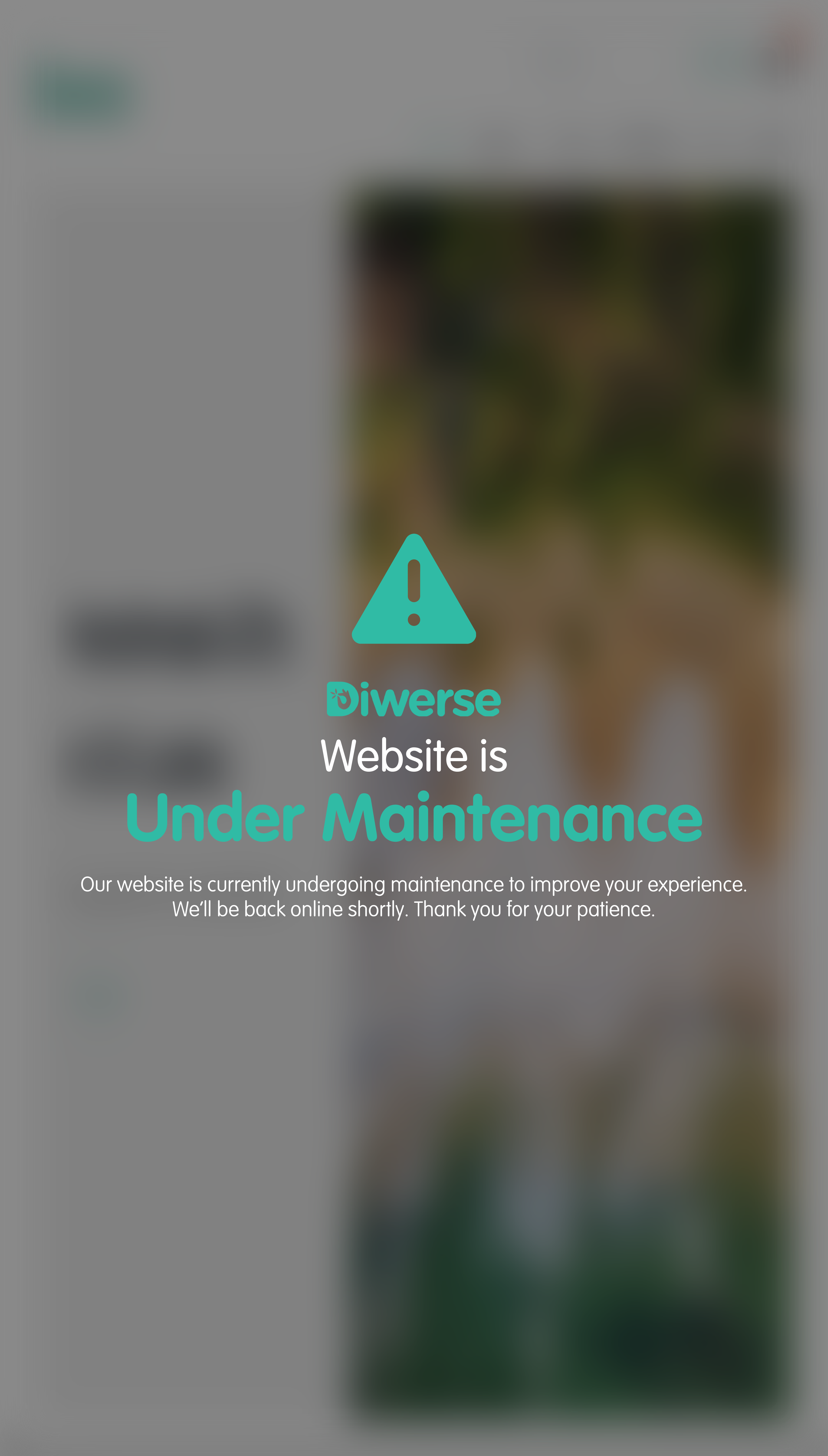 Mobile Maintenance